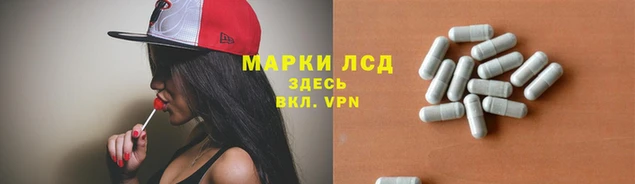 jwh Каменногорск