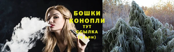 СК Каменск-Шахтинский