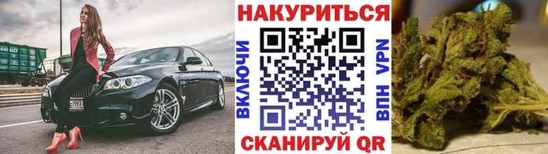 Конопля ГИДРОПОН  Купить где  Кубинка 